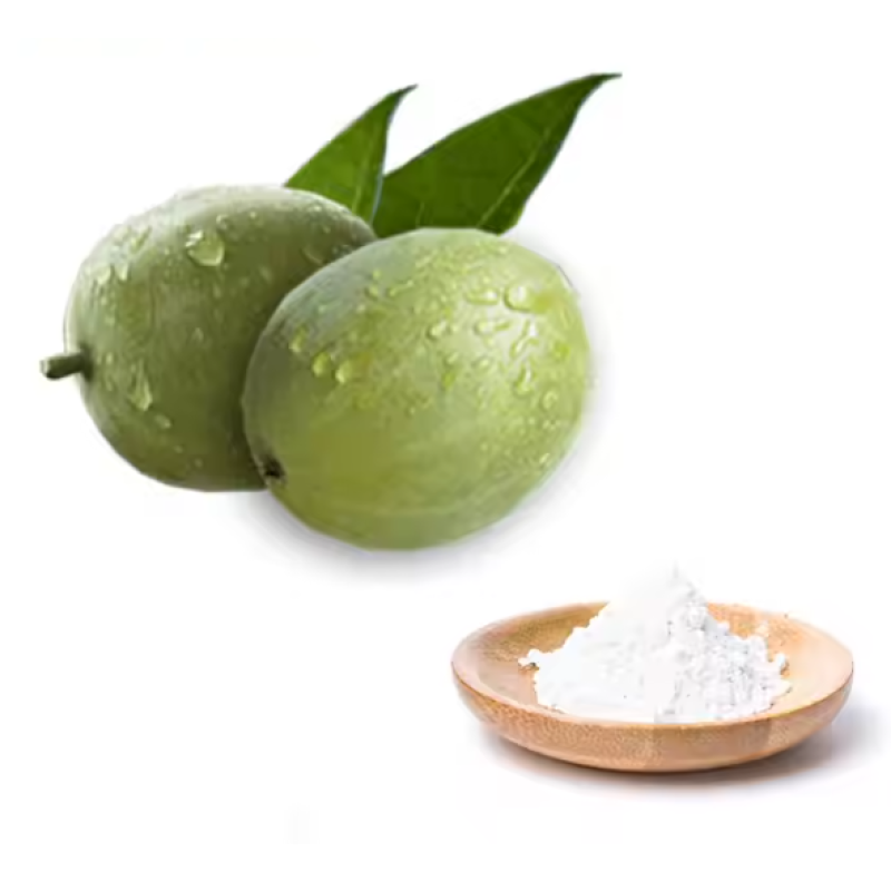 Ceremonial Grade Matcha Powder Manufacturer - USDA Organic Certified Free Sample Supply