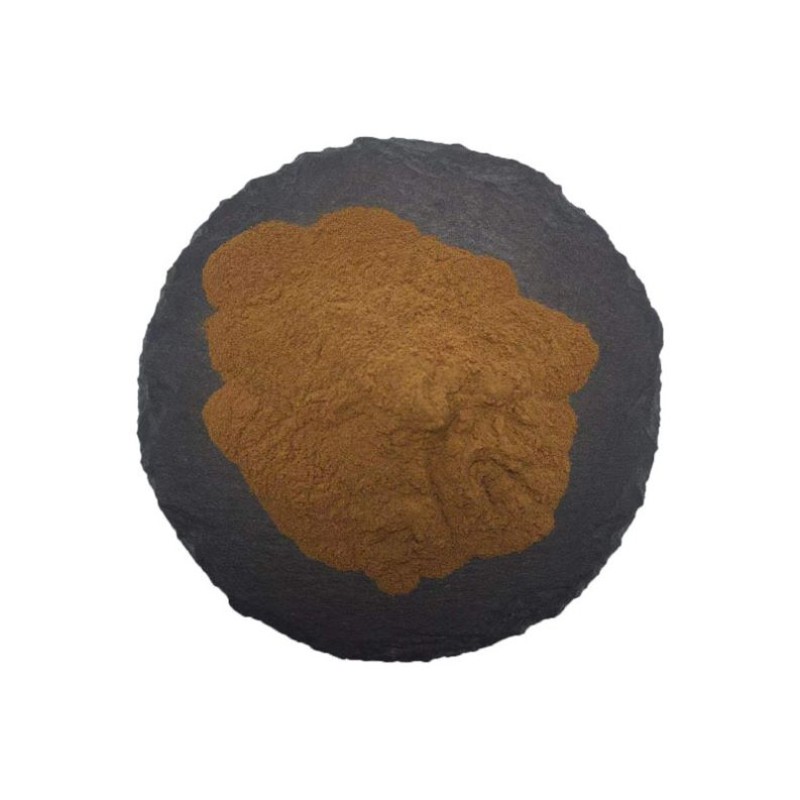 Red Spinach Powder Manufacturer - Factory Supply Bulk Organic Red Spinach Extract
