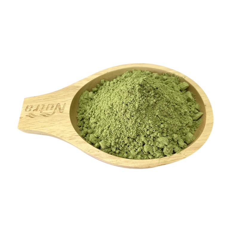 Barley Grass Powder Manufacturer - Hot Selling Barley Grass Juice Extract Powder