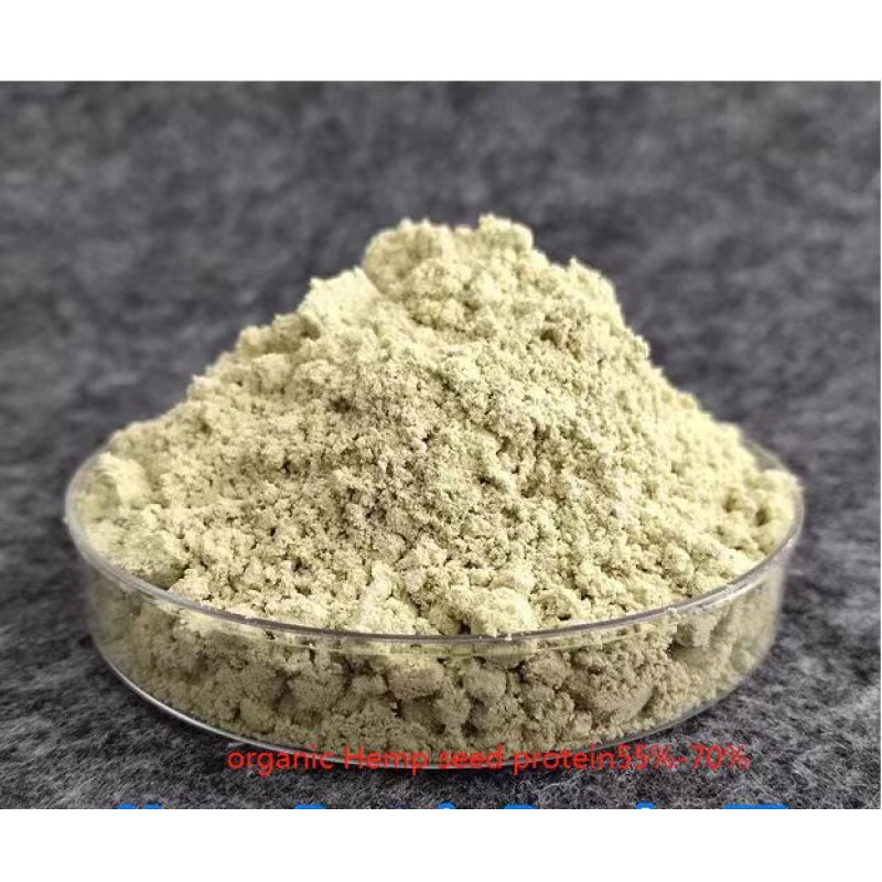 Organic Rice Protein Isolate Manufacturer - Bulk Bag Food Ingredients HACCP Organic Halal Best Price for Private Label