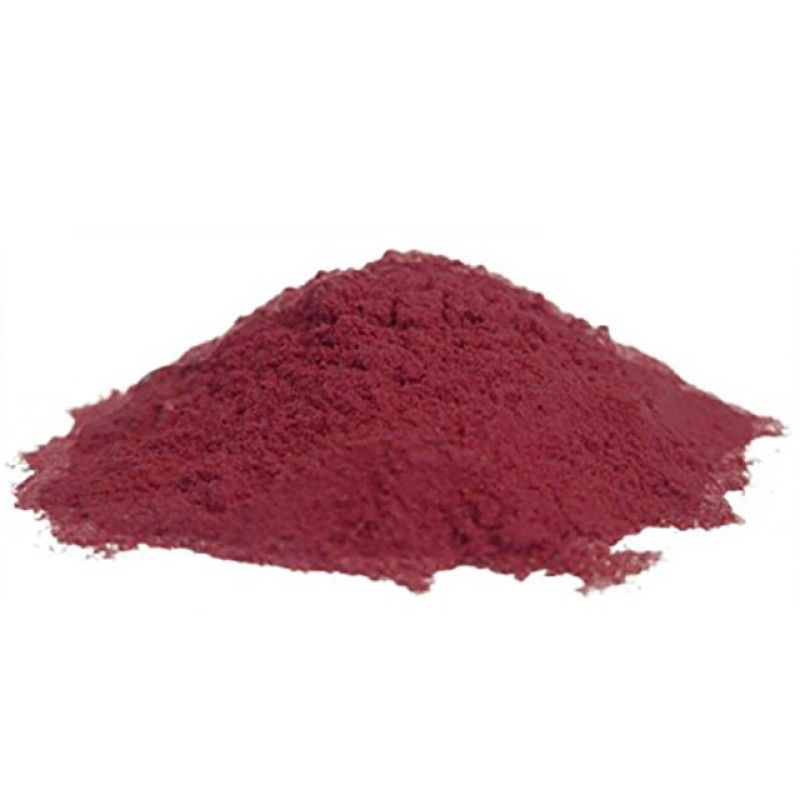 Black Currant Extract Manufacturer - Factory Supply Drum Packed Blackcurrant Juice Powder