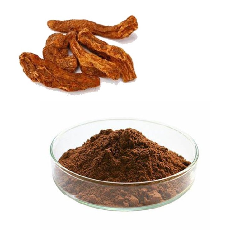 Cynomorium Extract Powder Manufacturer - Natural Chinese Herb Medicine Cynomorium Songaricum Rupr Powder Supply