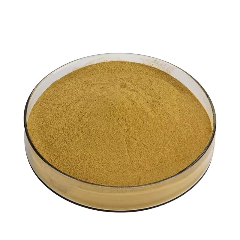 Carrageenan Extract Manufacturer - Factory Direct Supply Carrageenan Powder Wholesale