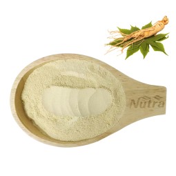 Ginseng Powder Manufacturer - Supply High Quality Free Sample Best Price for Sale
