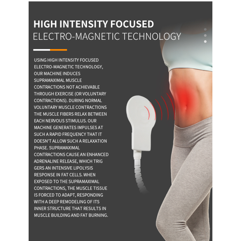 EMS Slimming Machine Factory - Professional 4 Handles 13 Tesla Muscle Building Stimulator