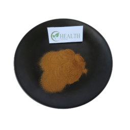 Reishi Mushroom Powder Manufacturer - High Purity Herbal Extract Wholesale Price