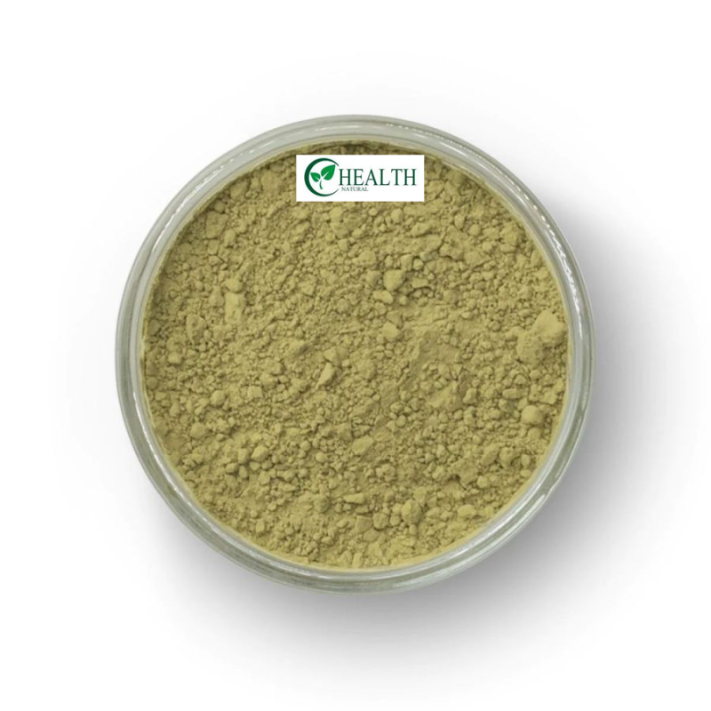 Rutin Powder Supplier - High Purity Natural Extract Healthcare Supplement