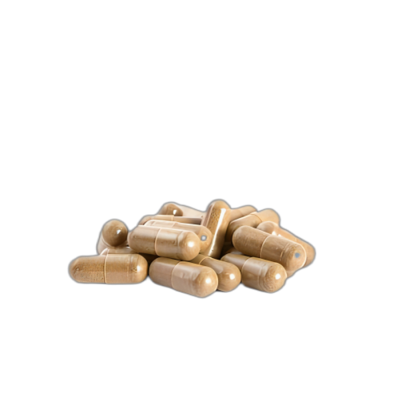 Rutin Capsules Supplier - Wholesale Food Grade Drum Packaging