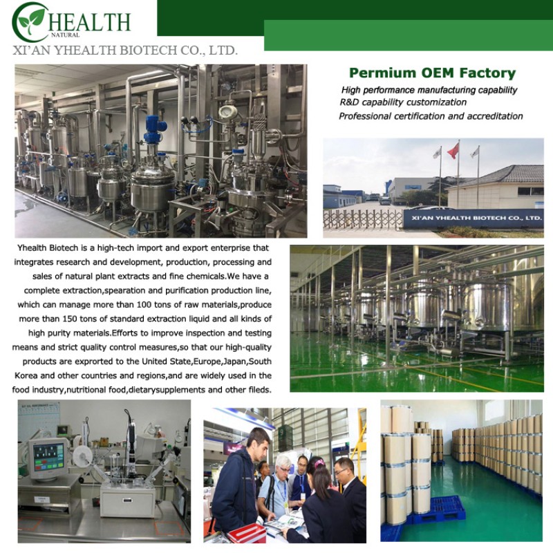 Kaolin Clay Powder Manufacturer - High Quality Colorful Cosmetic Grade 5000 Mesh