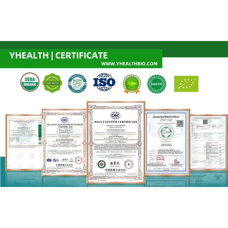 Elderberry Gummies Supplier - Immune Support with Vitamin C D3 Zinc for Kids