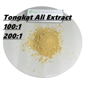 Echinacea Extract Manufacturer - High Purity 10%-40% Echinacoside Powder