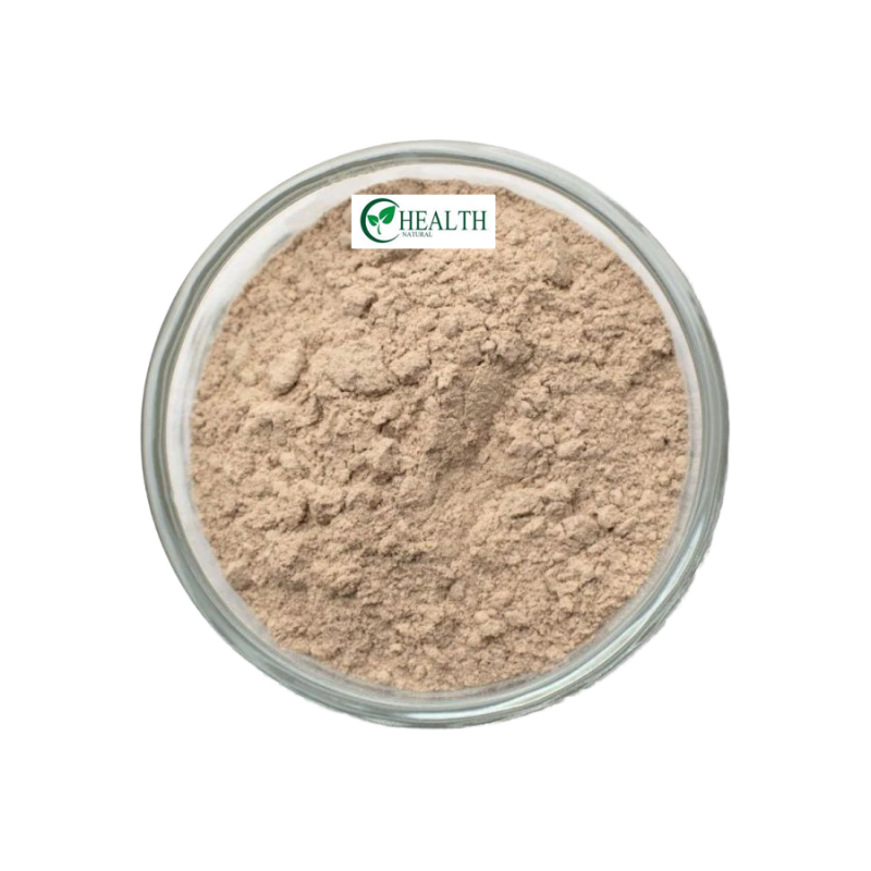 Matcha Powder Supplier - Ceremonial Grade Organic Green Tea Powder