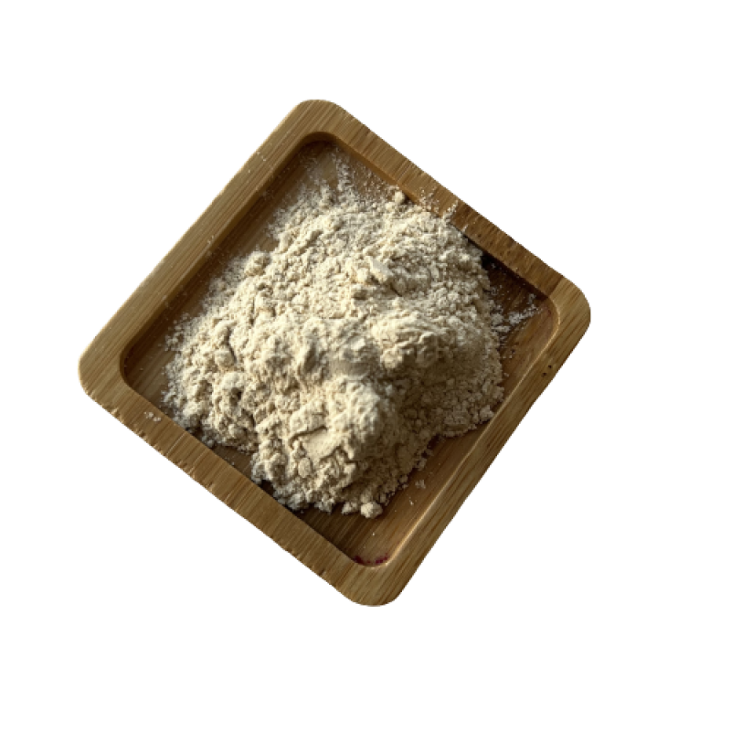 Orange Peel Extract Powder Manufacturer - Hot Sale Natural Hesperidin Healthcare