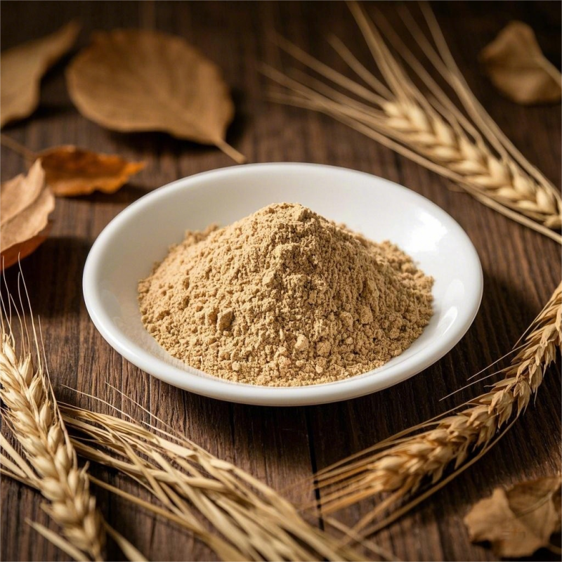 Pineapple Powder Manufacturer - Competitive Price Freeze Dried Organic 99%