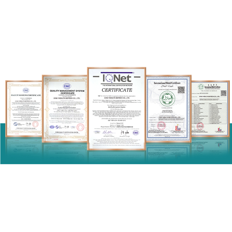 Creatine Monohydrate Powder Manufacturer - Sports Supplements Pure Creatine