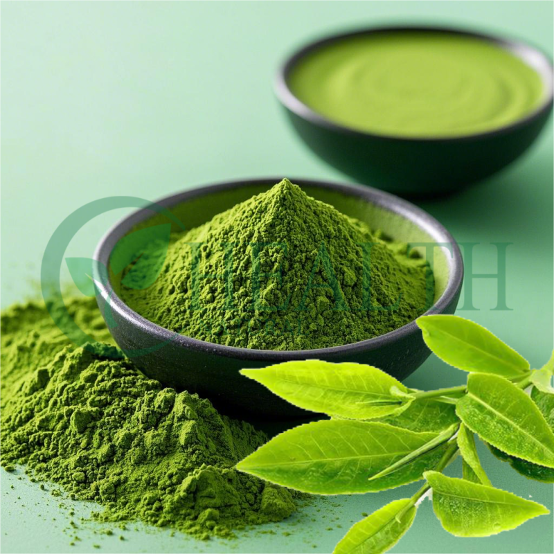 Matcha Extract Powder Manufacturer - Yhealth Certified Ceremonial Grade Pure
