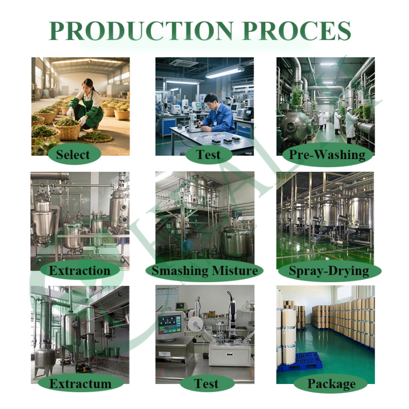 Rutin Powder Supplier - High Purity Natural Extract Healthcare Supplement