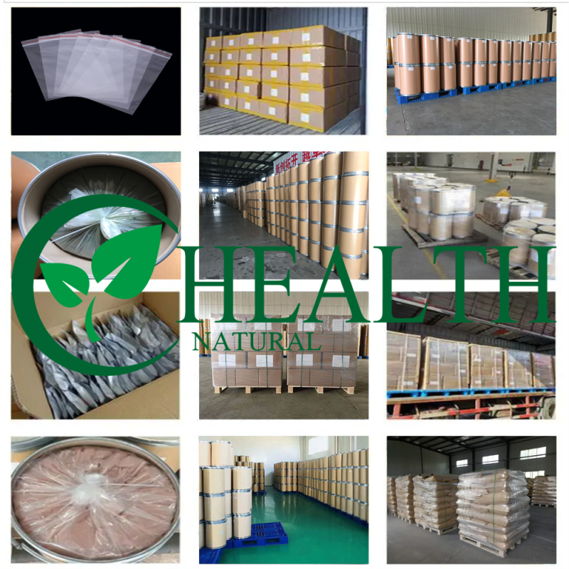 Sparassis Crispa Powder Supplier - Natural High Quality Supplement Best Price