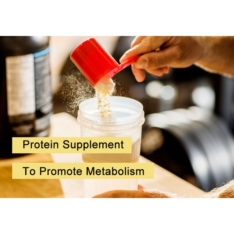 Whey Protein Powder Factory - Wholesale Gold Standard Whey Protein Isolate Increase Muscle Sports