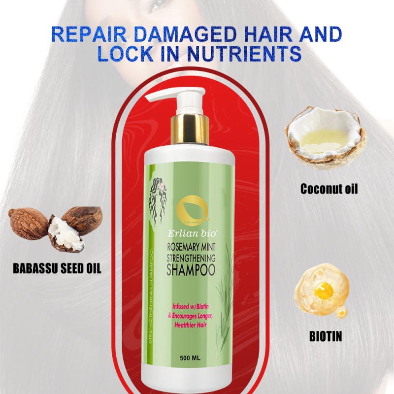 Shampoo Supplier - High Quality Rosemary Mint Strengthening Hair Loss Preventing Ginger