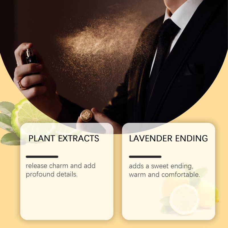 Men's Perfume Supplier - Charming Light Scent Enhance Confident Amber Wood Spray