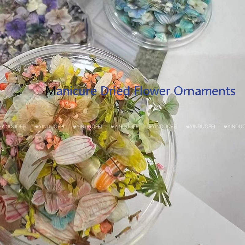 Nail Rhinestone Supplier - INS Style Garden Oil Painting Small Petals Jewelry