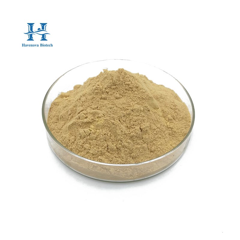 Maca Root Extract Powder Factory - Health Supplement Pure Natural Maca Powder