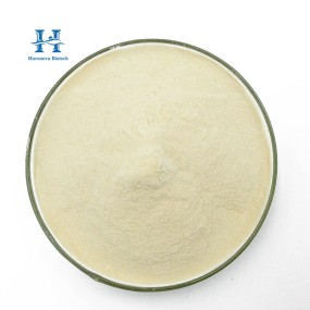 Akkermansia Muciniphila Powder Supplier - High Potency Probiotics Raw Material AKK Powder