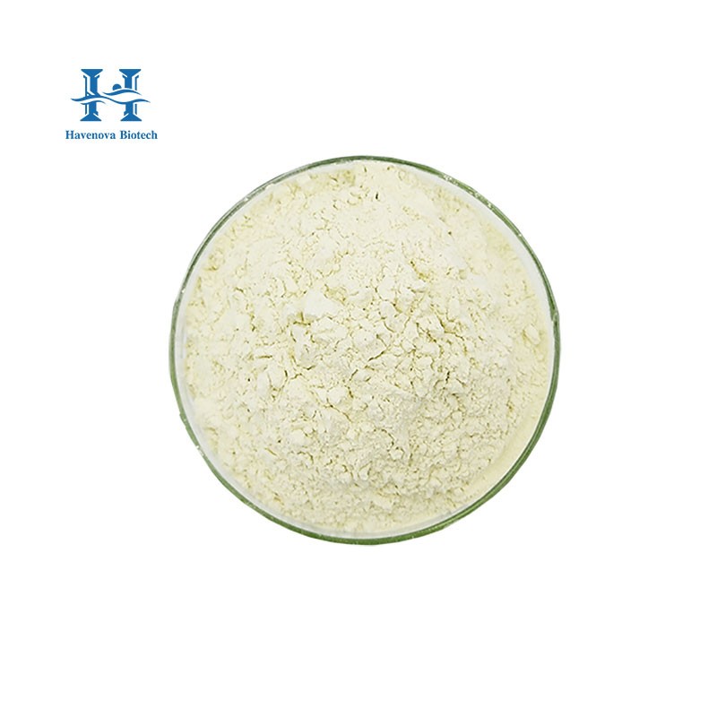 Bifidobacterium Lactis Powder Manufacturer - Top Quality Food Grade Supplement Probiotics