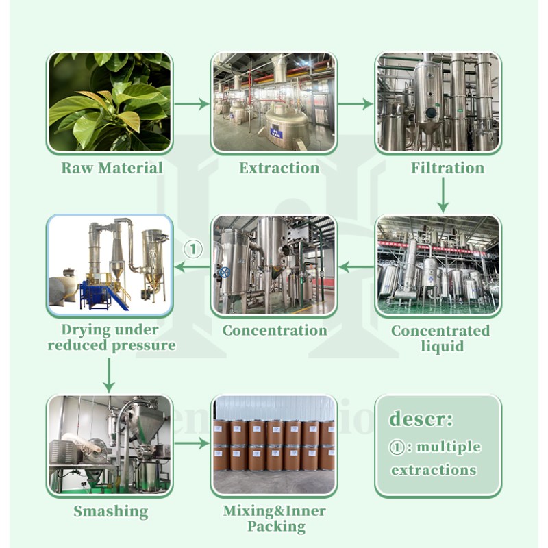 Luteolin Powder Supplier - Peanut Shell Extract 90% Luteolin Powder