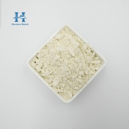 EPA DHA Powder Supplier - Best Selling Algal Oil Powder Factory Price