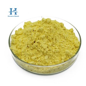 Orange Peel Extract Manufacturer - Wholesale Citrus Reticulata Peel Extract Hesperidin 90%