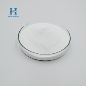 Vitamin B6 Powder Manufacturer - High Purity USP Grade Pyridoxine Hydrochloride