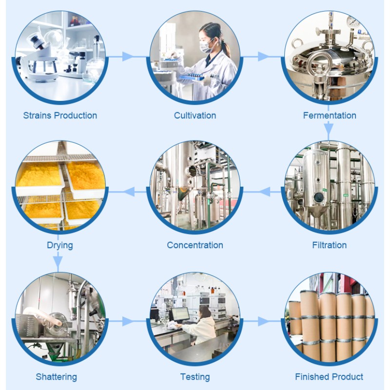 Bifidobacterium Lactis Powder Manufacturer - Top Quality Food Grade Supplement Probiotics