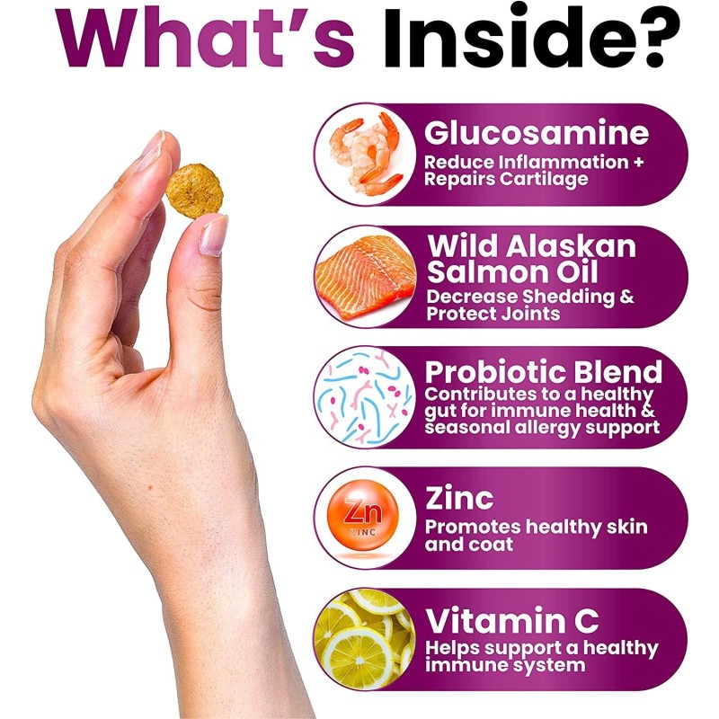 Pet Multivitamin Tablet Factory - OEM Private Label Soft Chew Nutrition for Dogs Cats