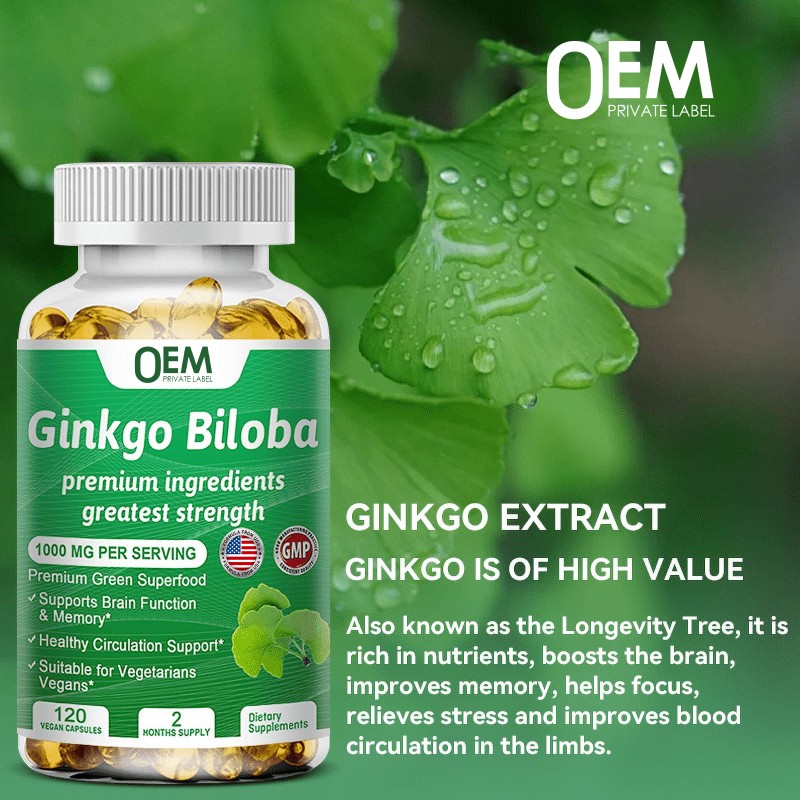 Ginkgo Biloba Softgel Factory - OEM Pure Organic Ginkgo Leaf Extract Healthy Circulation Support