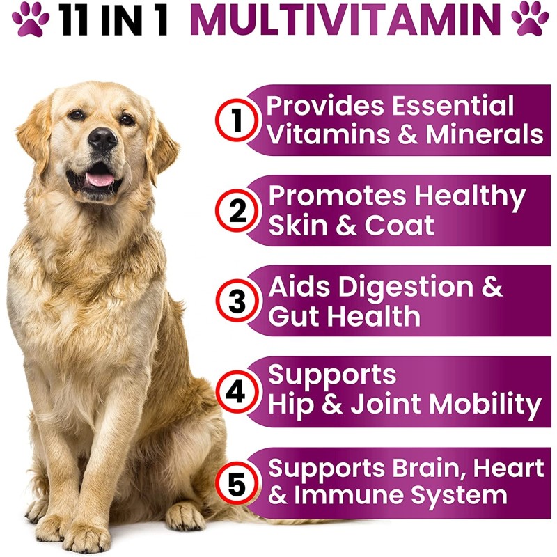 Dog Multivitamin Chewable Factory - OEM ODM with Glucosamine Chondroitin Hip Joint Support