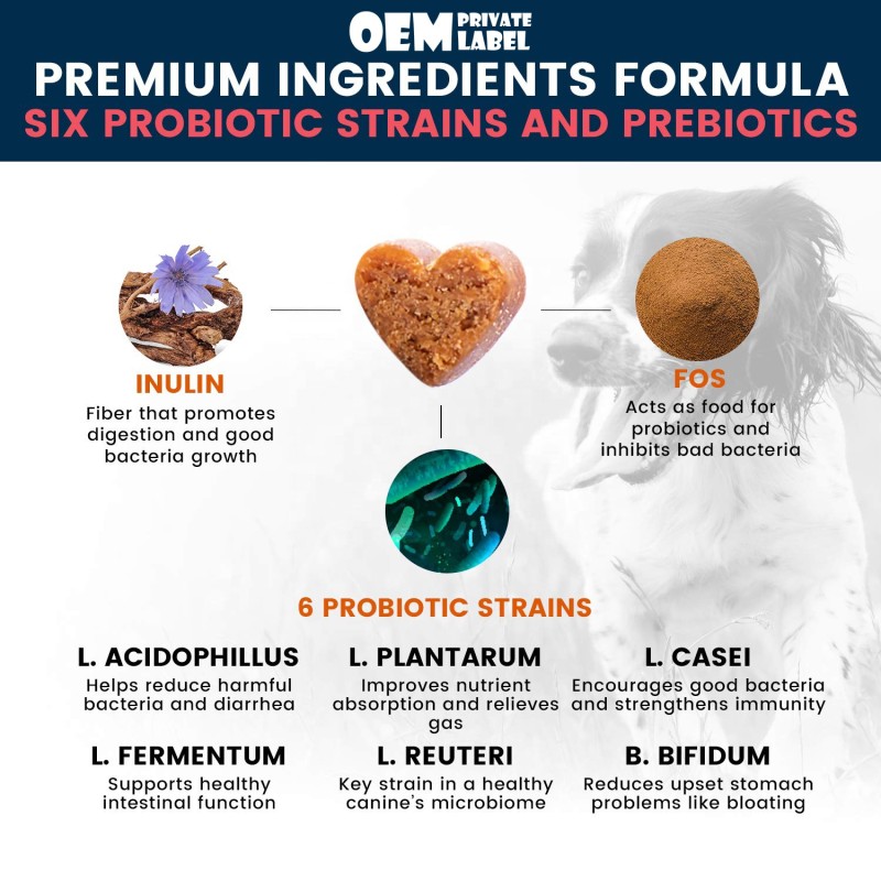 Dog Probiotics Treats Supplier - 6 Strains with Prebiotics Natural Digestive Enzymes Allergy