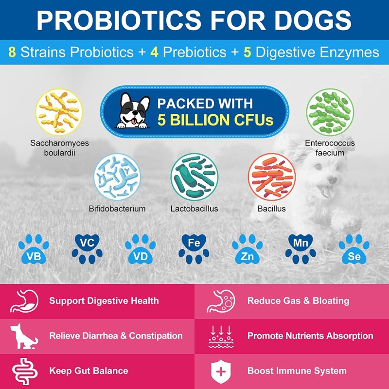 Pet Health Care Supplement Manufacturer - Dog Probiotic Flea Tick Treatment Calming Anxiety