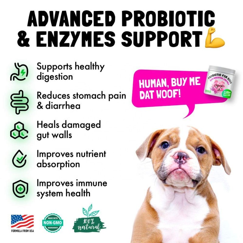 Probiotic Soft Chews Factory - for Dogs Digestive Enzymes Prebiotics Allergy Itch Gut Flora