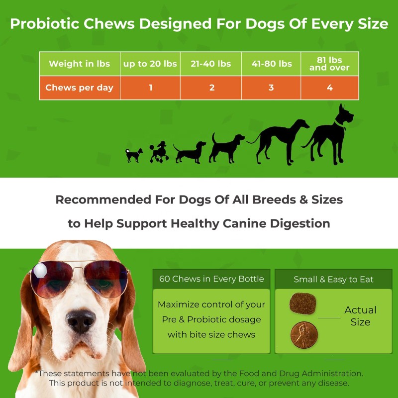 Dog Probiotics Treats Manufacturer - OEM ODM Digestive Enzymes Prebiotics Digestive Support