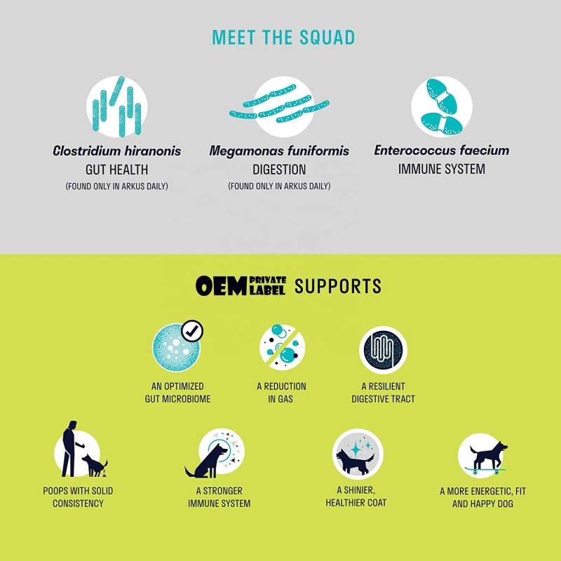 Pet Allergy Relief Chews Factory - OEM/ODM Factory Price Immune Chews Better Digestion Gut