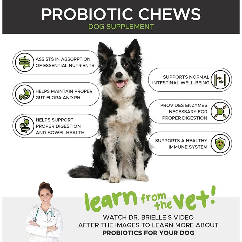 Dog Probiotics Soft Chews Manufacturer - Custom Digestive Probiotic Vitamins Immunity Health