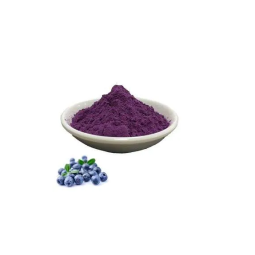 Pomegranate Extract Powder Manufacturer - Pomegranate Juice Powder & Fruit Powder OEM/ODM