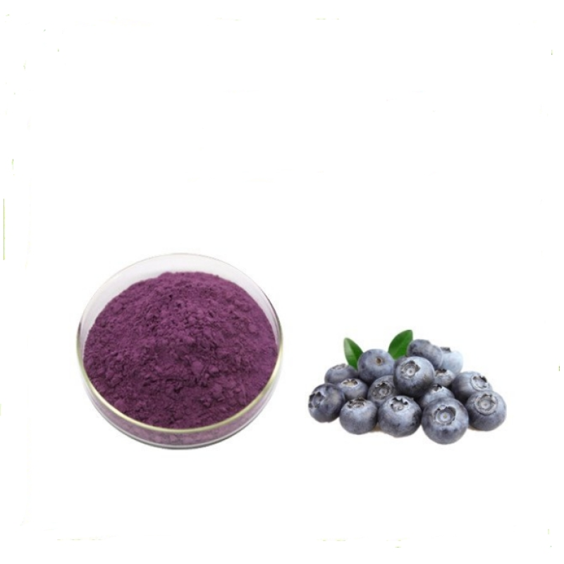 OEM/ODM Customizable Blueberry & Strawberry Fully Water-Soluble Fruit Extract Powder Manufacturer