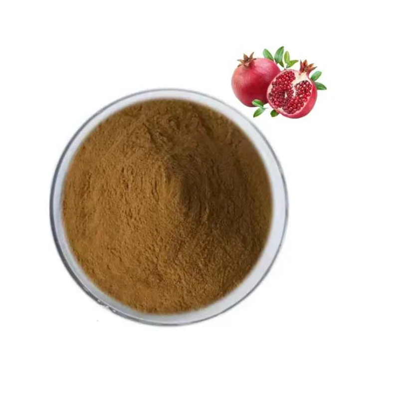 Bulk Pomegranate Extract Powder Manufacturer - Natural Fresh Fruit Seeds Extract Juice Powder
