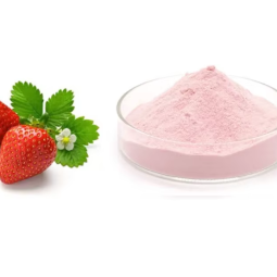 EU Organic Strawberry Fruit Extract Powder Manufacturer - High Quality Strawberry Extract