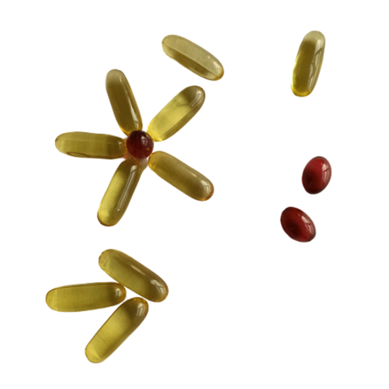 OEM/ODM Vegan Omega-3 Algae Oil Capsules Manufacturer - Factory Supply EPA DHA Supplement