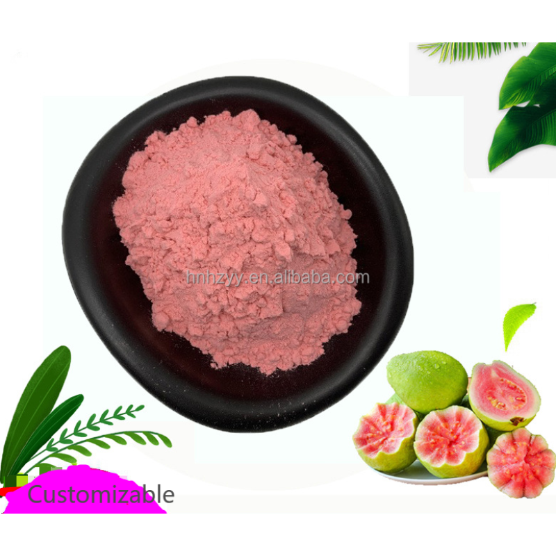 OEM/ODM Customizable Blueberry & Strawberry Fully Water-Soluble Plant Extract Powder Manufacturer