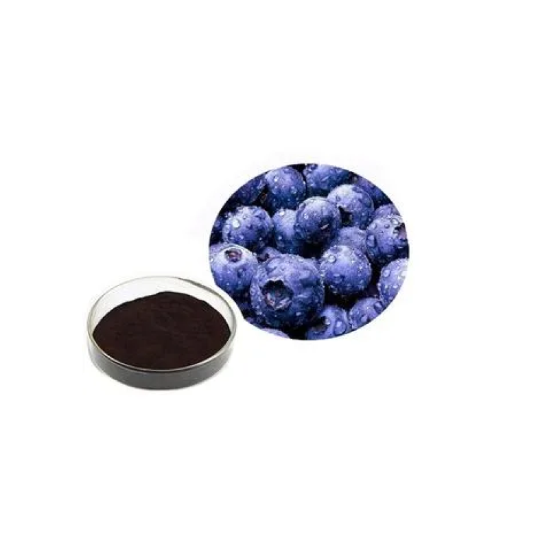 Organic Blueberry Fruit Powder Manufacturer - Freeze Dried Blueberry Extract Powder OEM/ODM Private Label